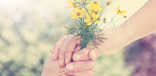 Caring-Hands-Flowers-2